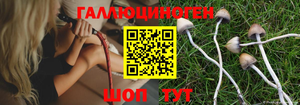 Псилоцибиновые грибы мухоморы  Вход с VPN  Симферополь 