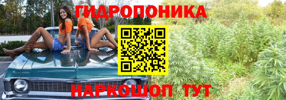 Бошки марихуана Ganja  Вход с VPN  Бошки марихуана VHQ  Канабис Ganja  Симферополь 
